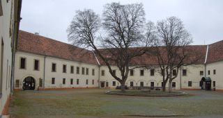 Photograph:&nbsp;Károly KIncses,  &copy;&nbsp;Károly KIncses