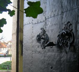 Photograph:&nbsp;Károly Kincses,  &copy;&nbsp;Károly Kincses