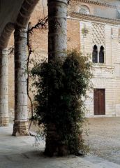 Photograph: Patrimonio Nacional