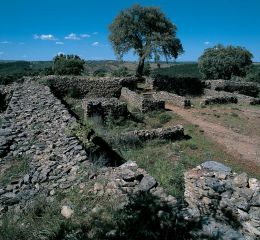 Fotografia:&nbsp;António Cunha