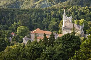  &copy;&nbsp;Fundação Mata do Buçaco
