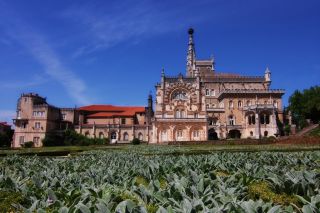  &copy;&nbsp;Fundação Mata do Buçaco