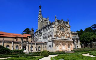  &copy;&nbsp;Fundação Mata do Buçaco