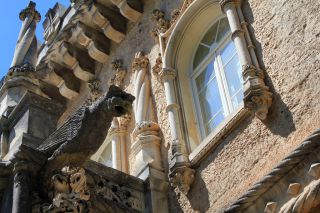  &copy;&nbsp;Fundação Mata do Buçaco