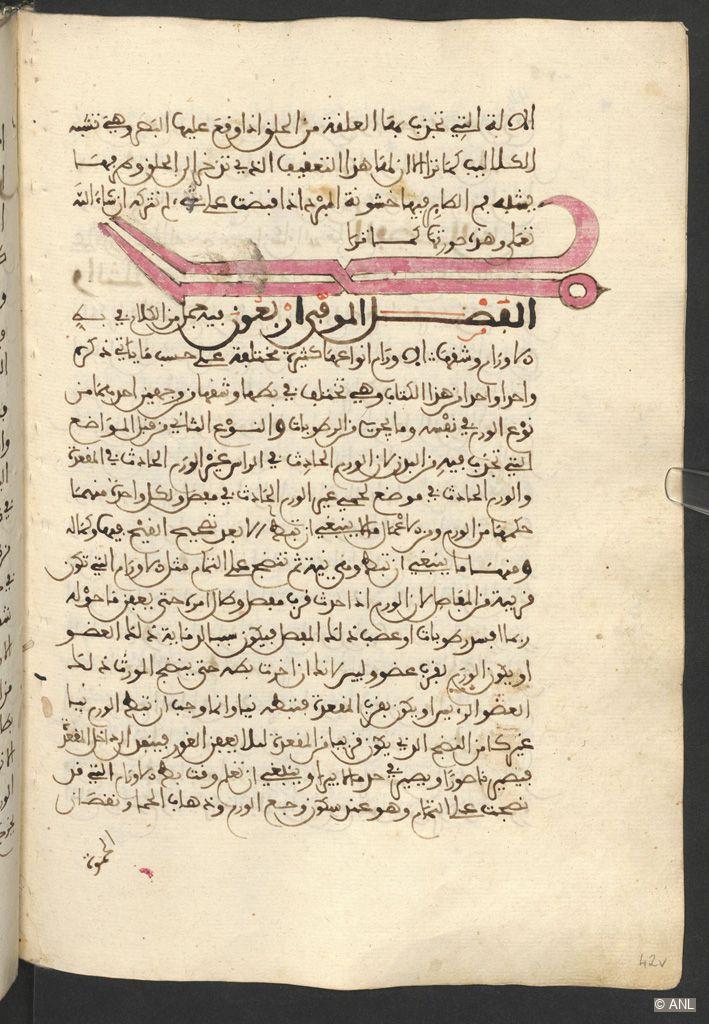 Yalangoch qizlarning harakatlanuvchi rasmlari